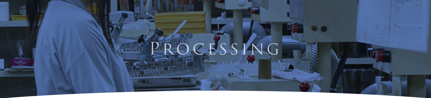 processing flow